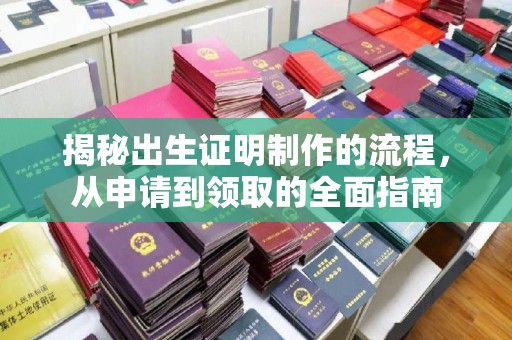 长阳揭秘出生证明制作的流程，从申请到领取的全面指南